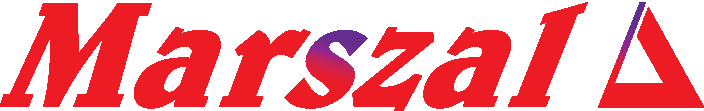 marszal biz logo